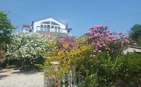 Oleander Apartment in Pakoštane